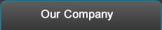 Our Company